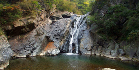 洛阳到栾川红豆杉一日游--洛阳栾川一日游（洛阳栾川自驾旅游路线）